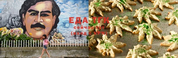 амф Новокубанск