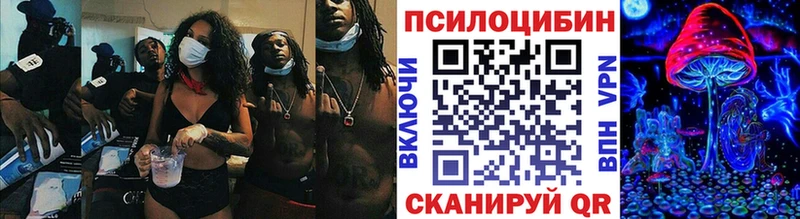 Псилоцибиновые грибы мицелий  Тосно 