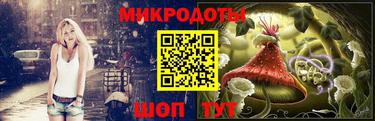 Тосно  Галлюциногенные грибы мухоморы  Вход с VPN 