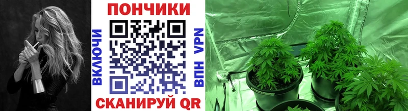 Шишки марихуана марихуана  hydra вход  Тосно 